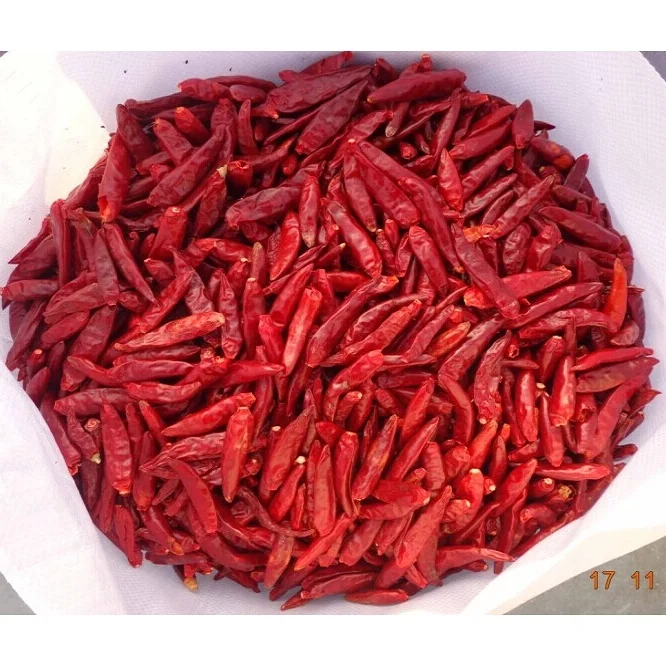 Wholesale Price Indian Dried Red Chili 100% Natural & Organic Dried Whole Red Chili Single Spices & Herbs