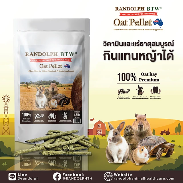 Oat Pellet With Seven Probiotics and Minerals For Small Animals Product from Thailand
