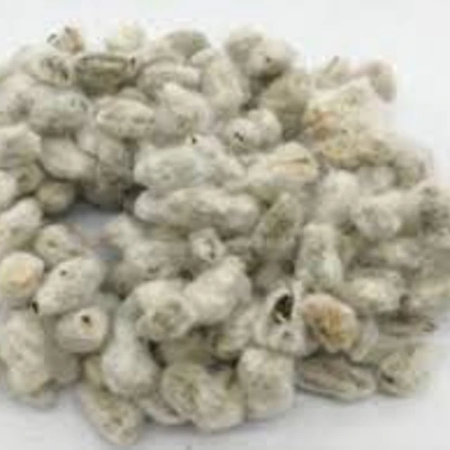 
Automatic Cottonseed Processing Full Continuous Equipment Cotton Seed Delinting Machine Cotton Linter Machine Cottonseed Saw Lin 