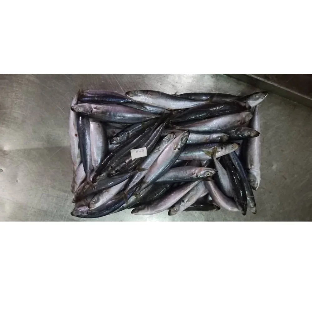 Premium Quality Fresh Frozen Whole Round Layang Scad With IQF BQF Freezing Process From Malaysia