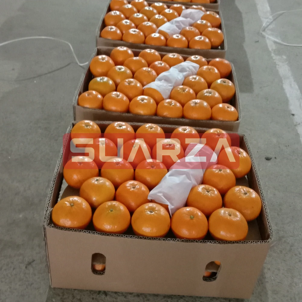 Certified Fresh Orange exporter In Pakistan