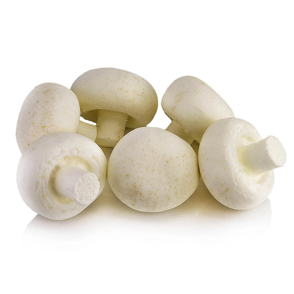 
White Oyster Mushroom Whole Fresh Mushroom for sale 