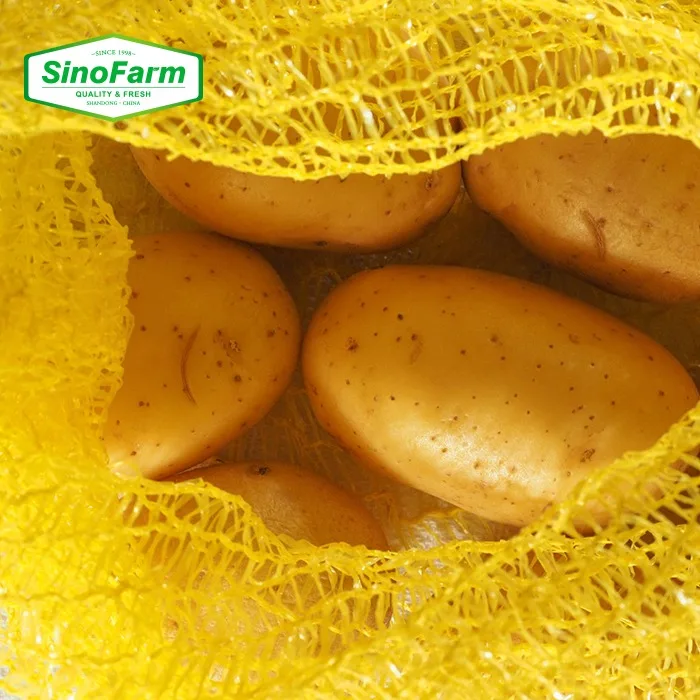  Свежий картофель для производства картофельных чипсов на продажу