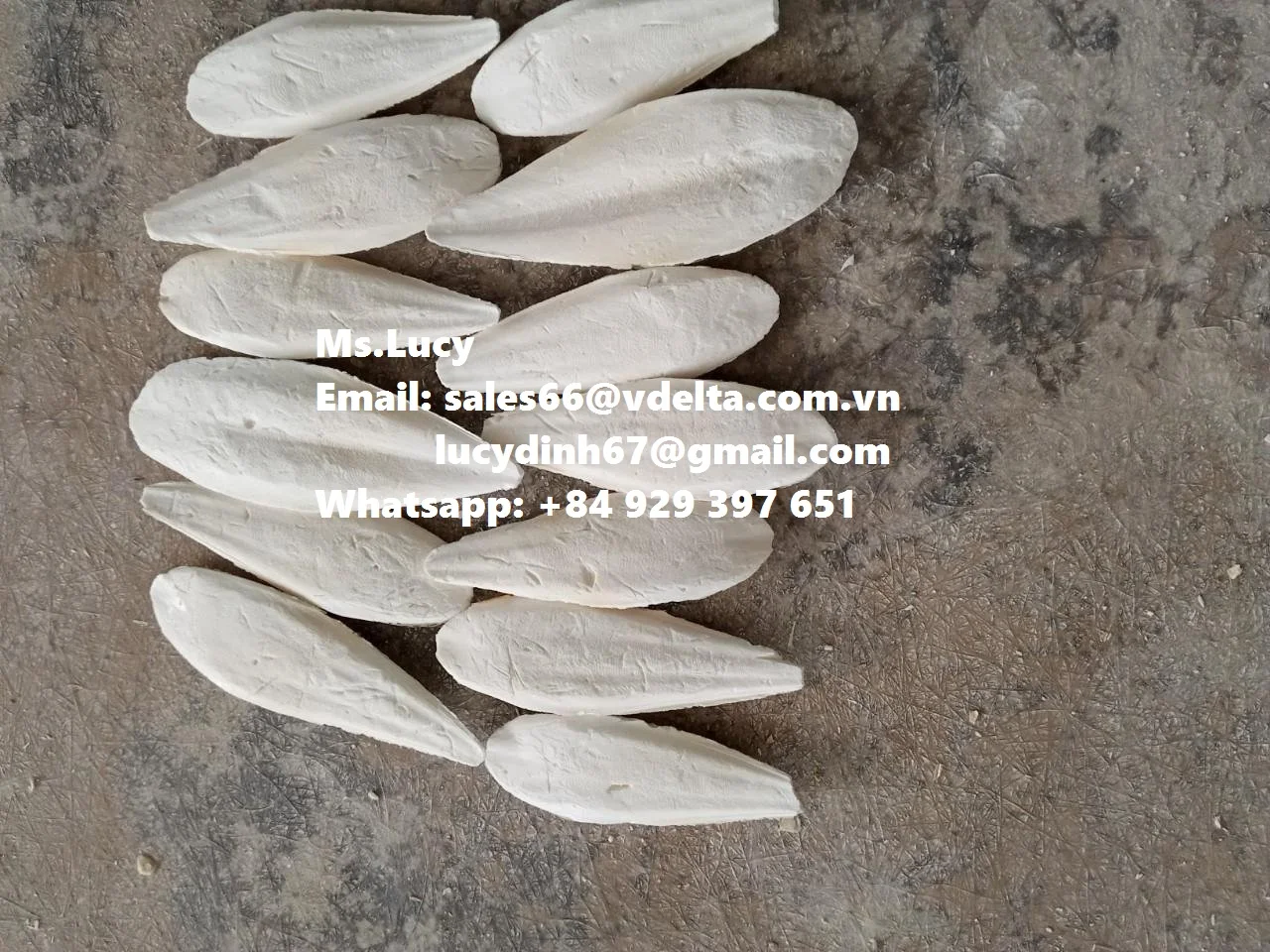  Хит продаж кости для морской слепки из Вьетнама Whatsapp + 84929397651