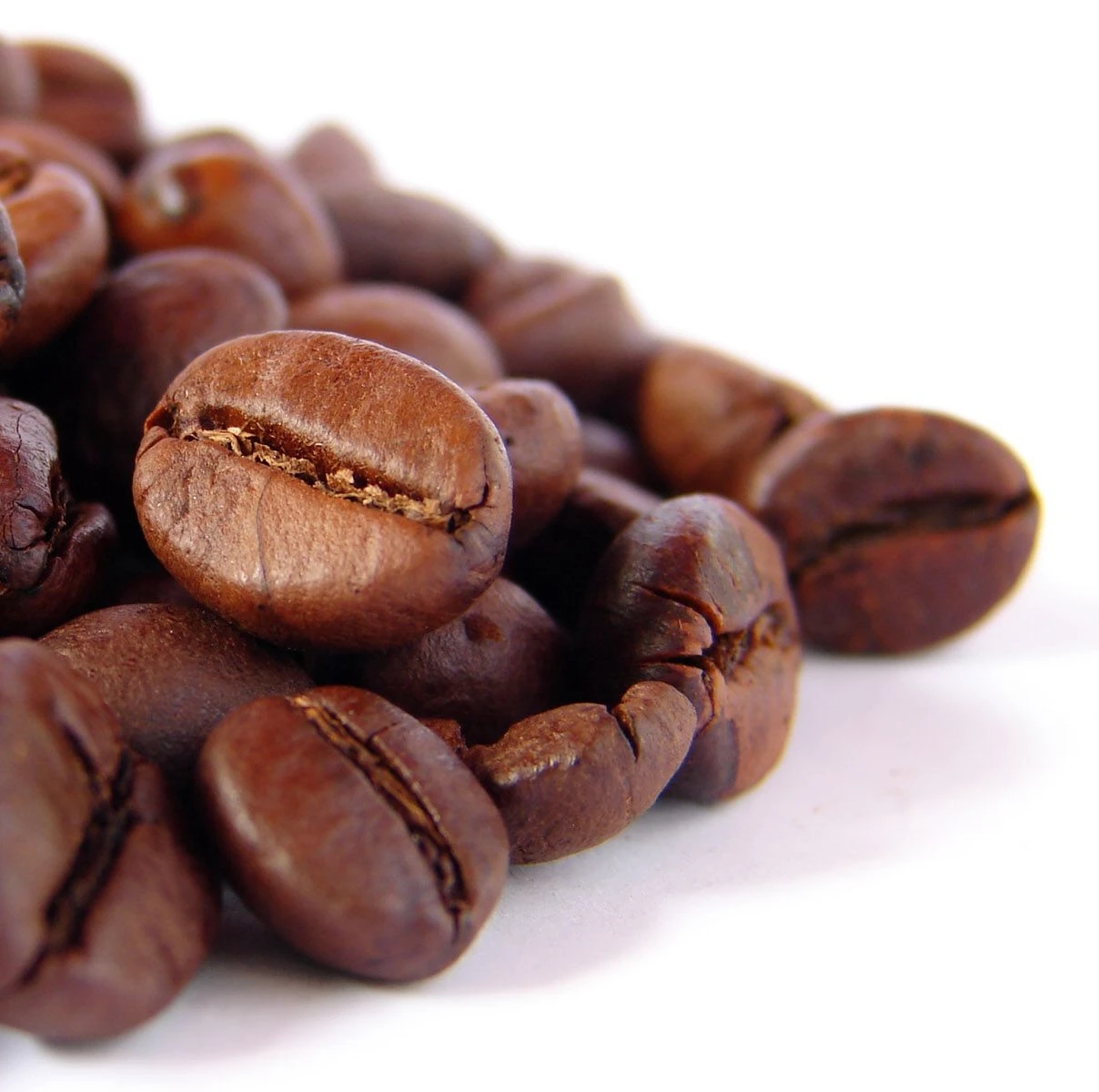 Wholesale Robusta Coffee Bean High quality Pure Roast Coffee Beans Importers Best Price Made From Vietnam