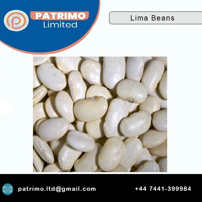 
Fresh supplier quantity Selling Lima Beans for Bulk Purchase at Wholesale Price 