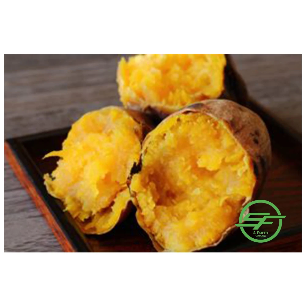 Fresh Potato - 100% Maturity Newest Crop Purple Sweet Potato- 10kg with best price from Vietnam