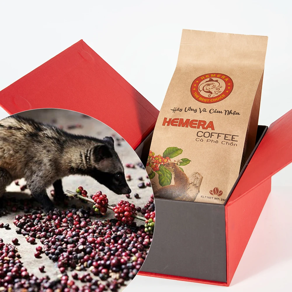 Authentic Kopi Luwak (Weasel) Coffee From Arabica Made In Vietnam New Crop
