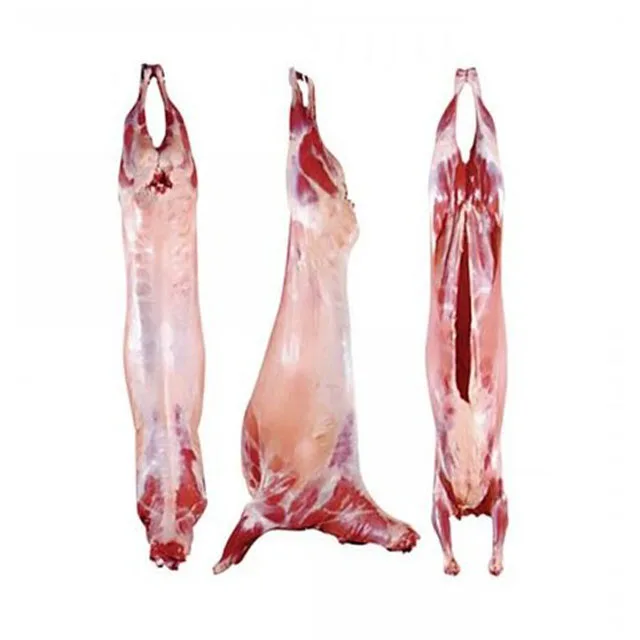 Top Quality Halal Fresh / Frozen Sheep / Goat / Lamb Meat / Carcass For Wholesale
