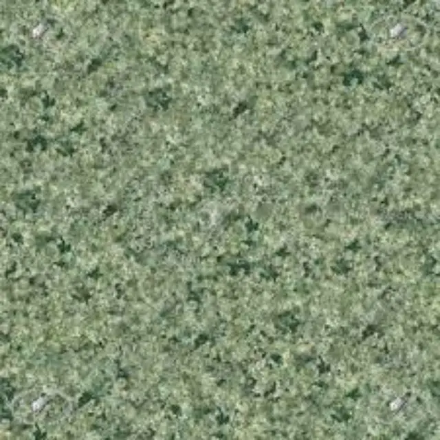 Granite Indian Green Granite On Sale Price Best And High Quality Natural Dvera Green Granite 1mx1m (1000mm X 1000mm X 20mm )