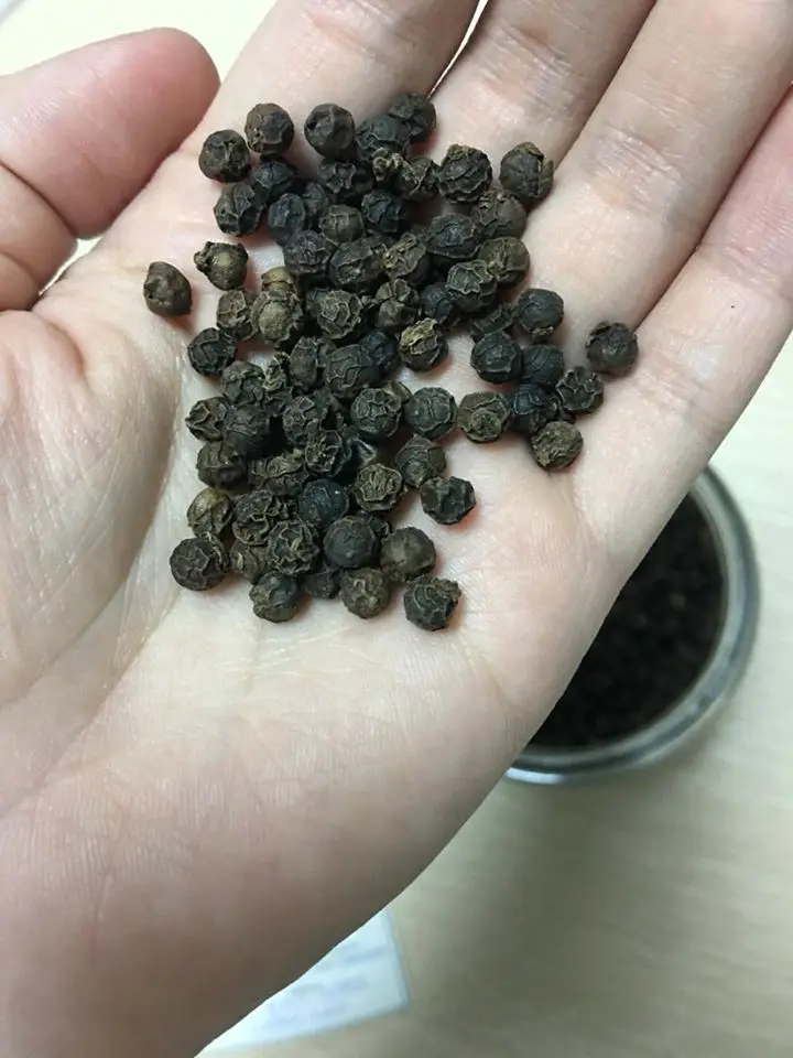 Вьетнамский сушеный черный перец ASTA 500GL-550GL Прямая поставка с завода Schwarzer lada hitam Pfeffer Высококачественная продукция по лучшим ценам