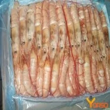 
100% Bulk Wholesale Frozen Red Argentina Shrimp 