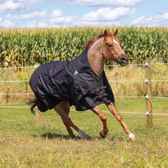Tapaq Международный ковер для лошади с высокой горловиной, индийские одеяла для лошади