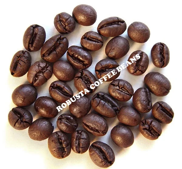 Private label - High Quality of Commercial Robusta Coffee  From Viet Nam
