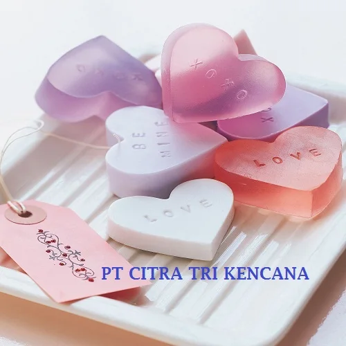 SOAP MOULDED FINAL SHAPE AND STAMPED WITH THE BRAND AND PACKAGE FOR DELIVERY,SOAP NOODLE IN Rio de Janeiro BRAZIL USA