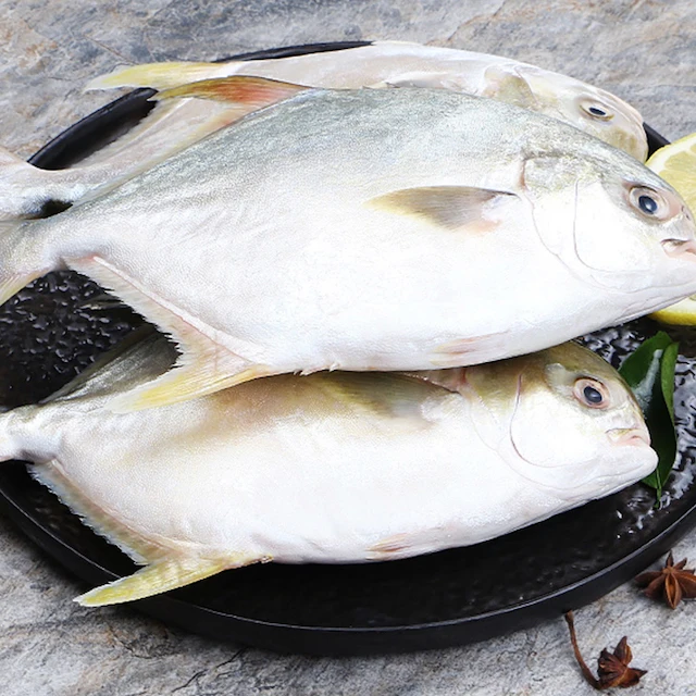 FROZEN RIBBON FISH HIGH QUALITY BEST PRICE.