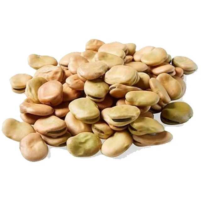 Newest Crop High quality dried fava beans factory wholesale