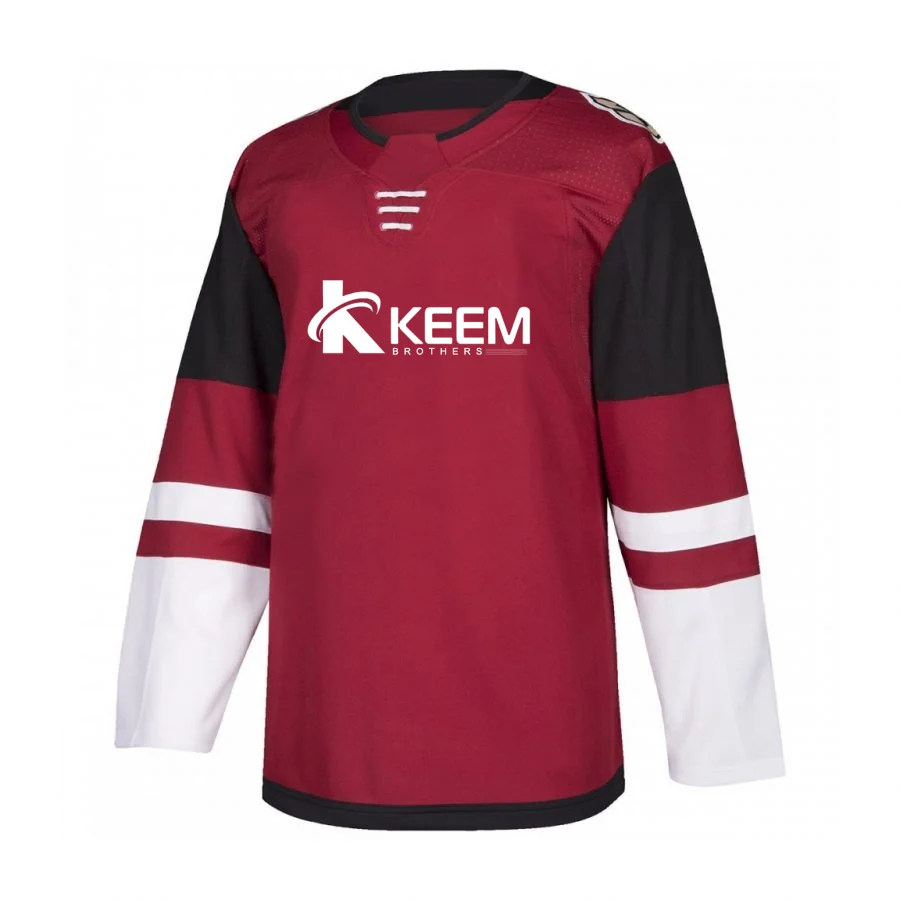  Футболка с сублимационной печатью набор для хоккея вышитая вышивка логотип хоккейная униформа снасть саржевая надпись резинка нашивки шайбой