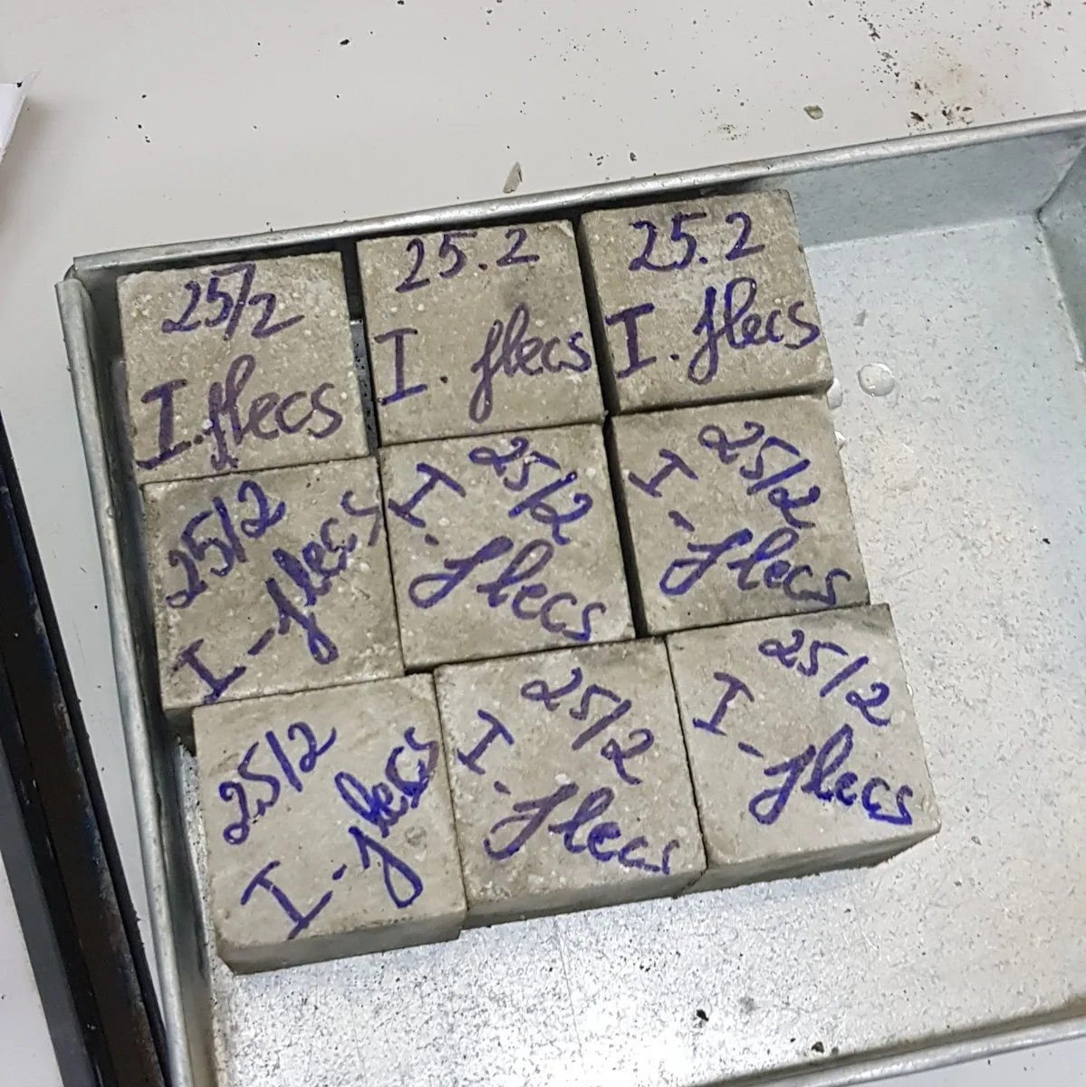 High Quality Best Portland cement type I as ASTM C150 from Vietnam Best Supplier Contact us for Best Price