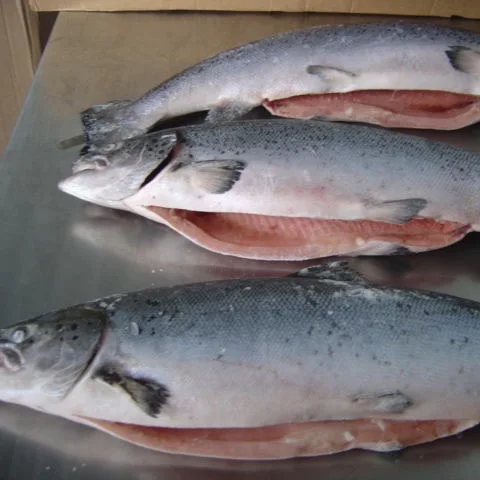 Fresh Salmon - Pure Food Fish Market - Buy Fresh salmon fish fillet norway (per Kg) Online
