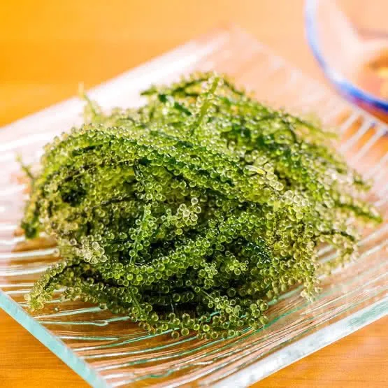  2021 г. лидер продаж во Вьетнаме seagизнасилование лато мисс Ниан + 84 363 210 230