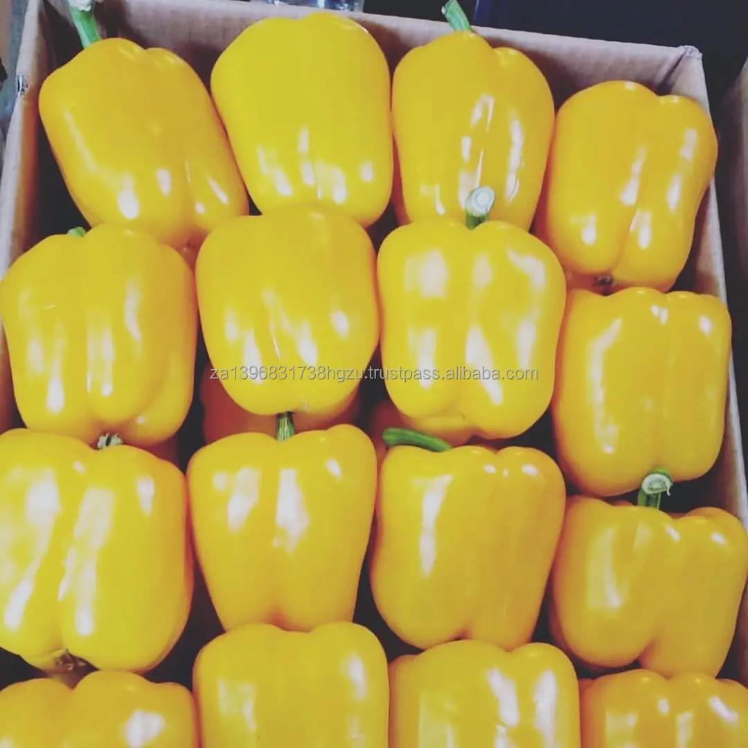 Hot Chili Peppers Quality Yellow Fresh Pepper for sale