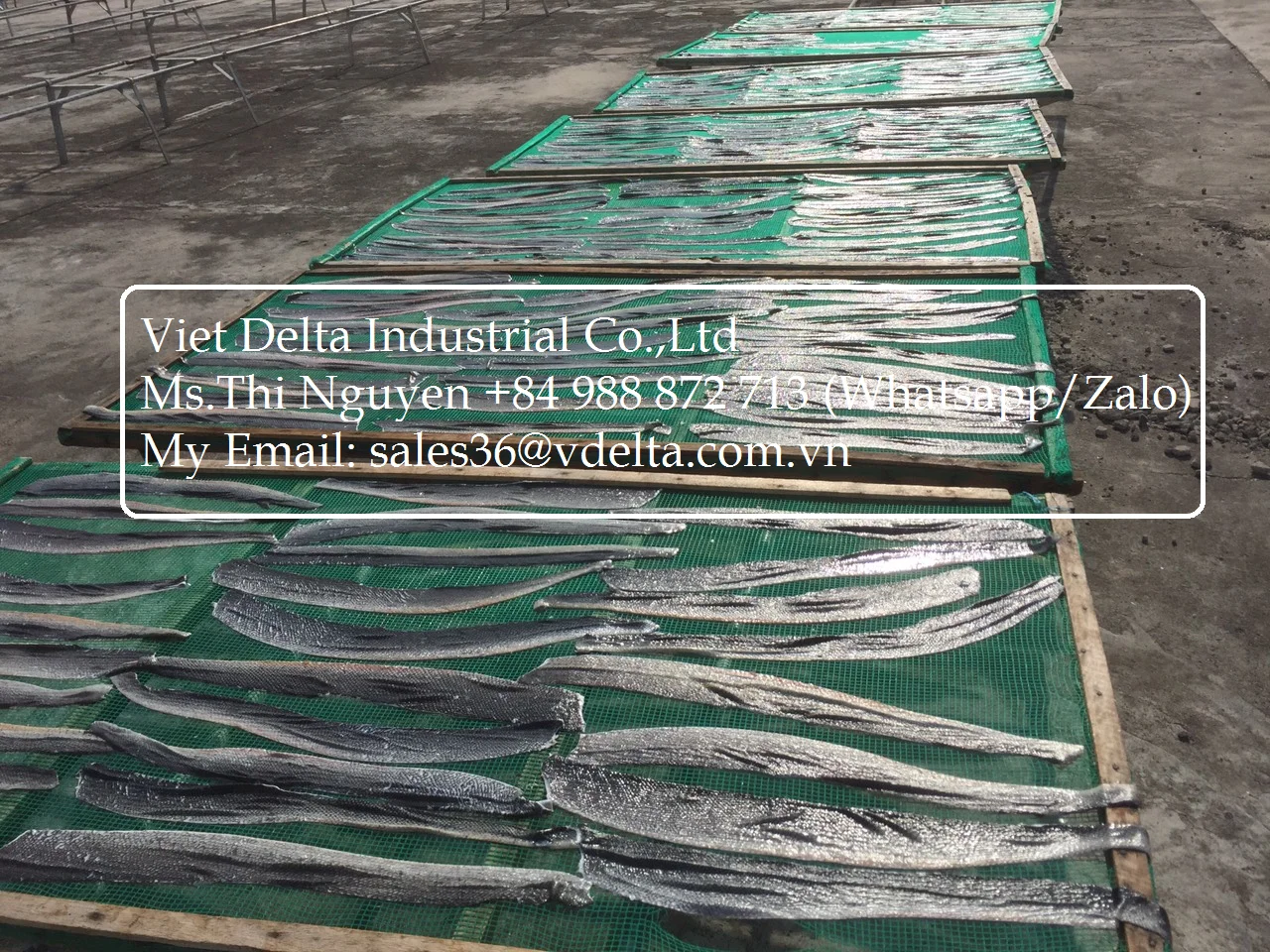 Salmon Skin Snack / Fish Skin Snack / Dried Salmon Skin High Quality From Vietnam (Ms.Thi Nguyen +84 988 872 713)