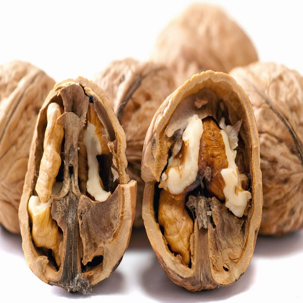 Superior Quality Dried Kernel Peanuts Best Cheap Price