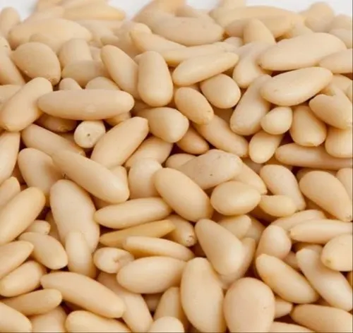 Top quality organic cheap bulk pine nuts kernels