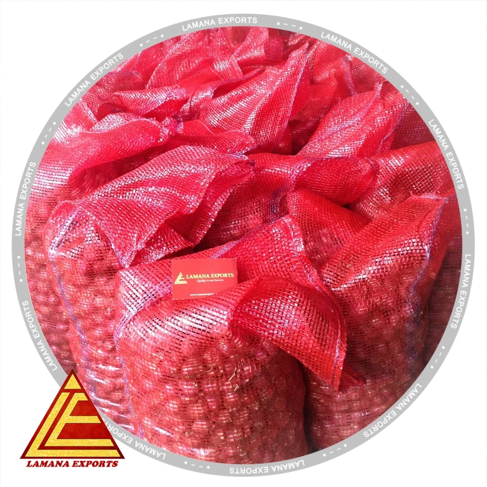 Shallots- Onion Fresh Shallots Podisu Malaysia Non-peeled Common Round Liliaceous Vegetables Liliaceous Vegetabless