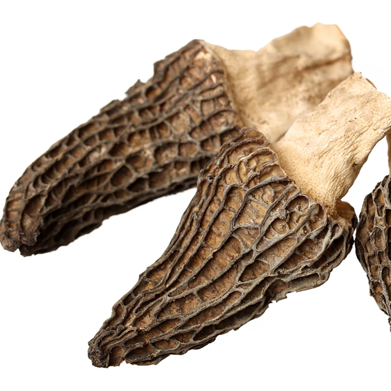 Best selling dried morchella mushroom morel