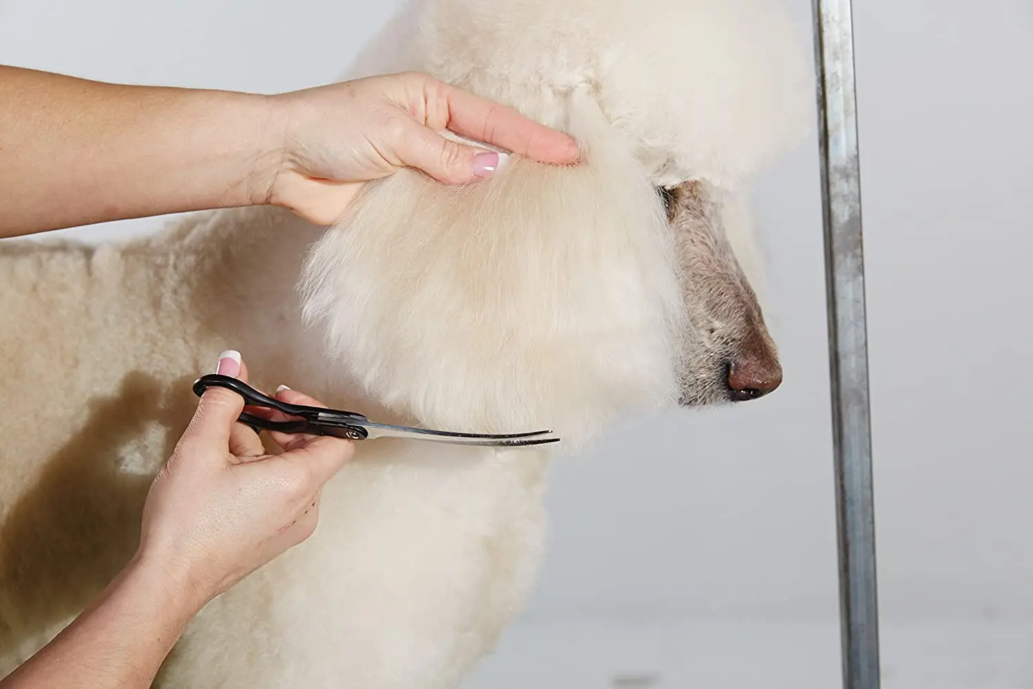 PET HIGH-END серии гироборд с колесами 8 дюймов Япония 440C всех цветов радуги для ухода за домашними животными двусторонний изогнутые ножницы