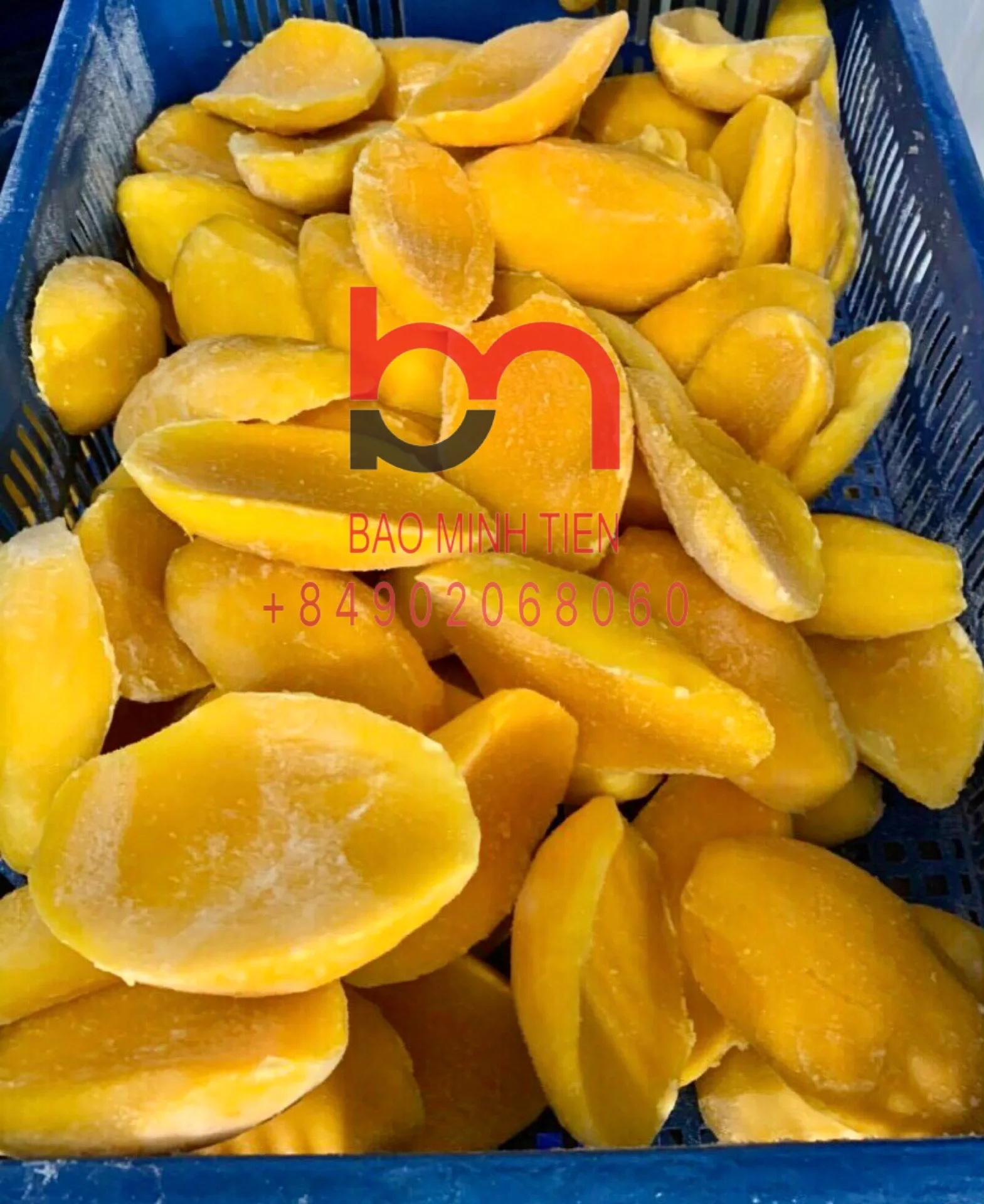 HIGH QUALITY IQF FROZEN MANGO SLICE FROM VIETNAM CALL +84902068060