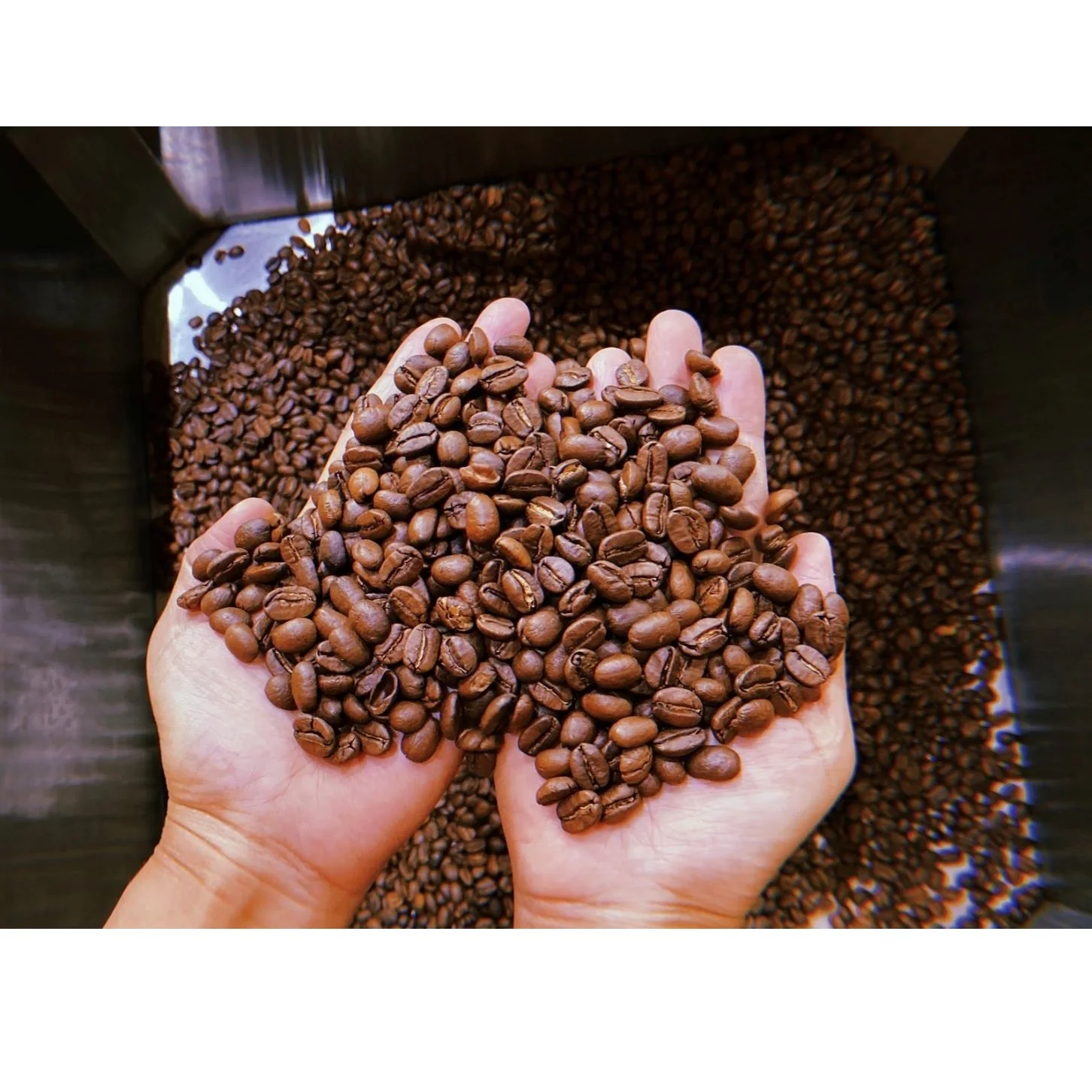 1 килограмма, кофейный Тип Премиум-Качества, жареные кофе-зерна Robusta, экспорт из Вьетнама