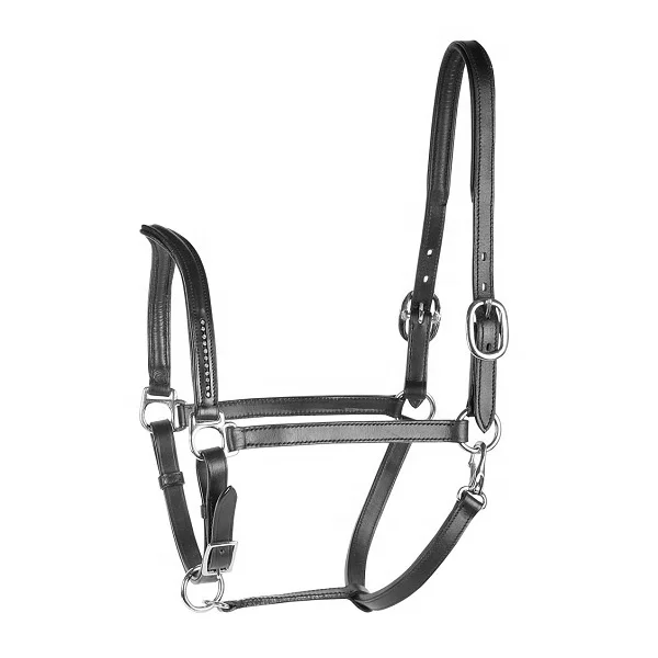 Genuine Black Braided Leather Horse Halter Suppliers