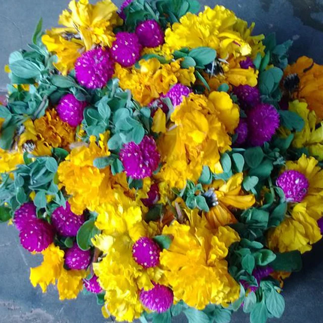 Marigold Kadambam
