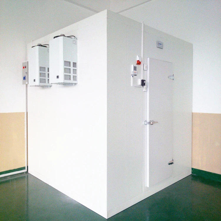  Раздвижная дверь Walk in Cold Room 500 кг для рыбы мяса говядины свинины курицы морепродуктов креветки яиц семена кокоса