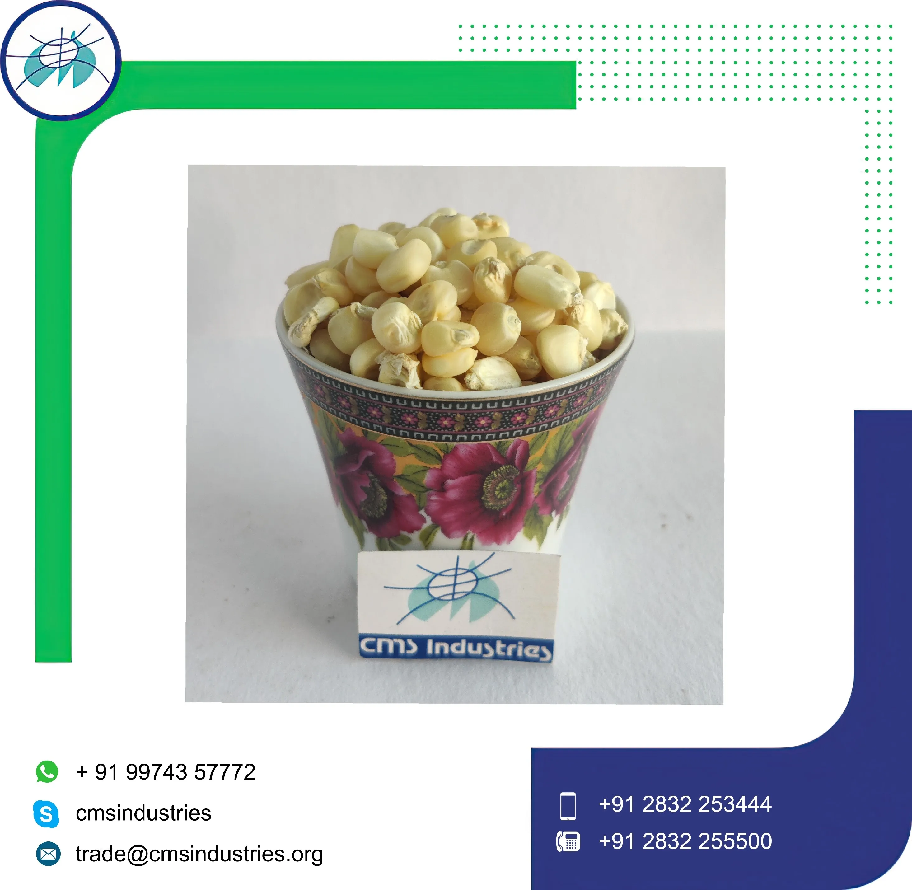 Well Process White Maize for Animal Consumption