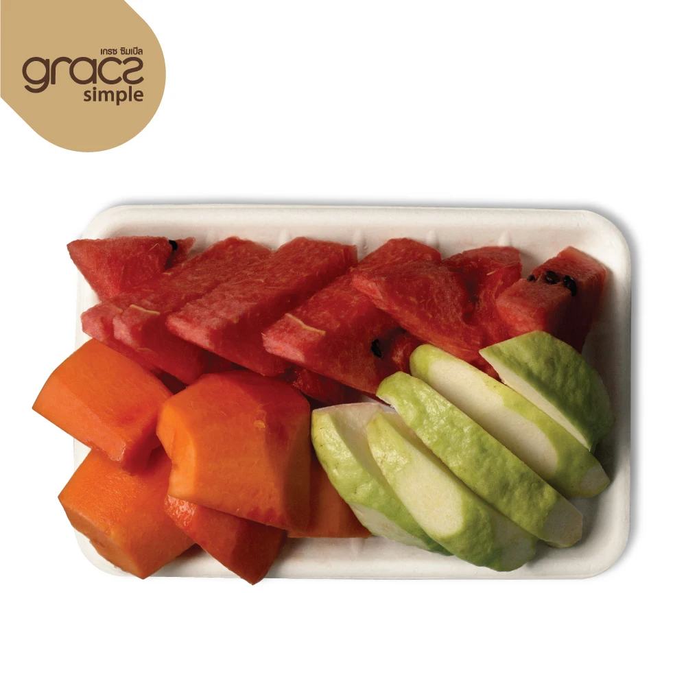 Compostable Tray Food Containers Sugarcane Pulp Packaging