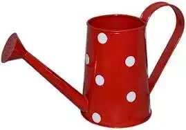 Кастрюля для полива цветов оцинкованная современный дизайн логотип под заказ