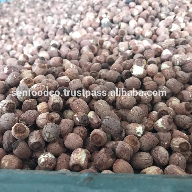 BLACK LOTUS SEEDS  FROM VIETNAM HIGH QUALITY whatsapp +84934449569