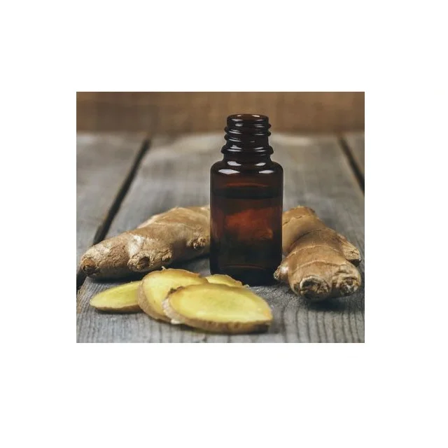 100% Pure Wholesale Priced Ginger oil for Healthy Digestion from India