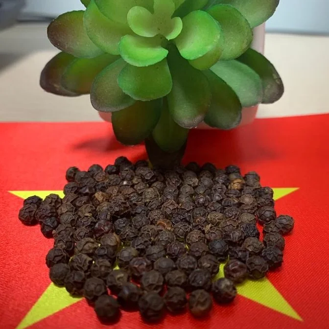 Black Pepper 580/570/550/500 Gl Mc/Faq Best Price Viet Nam Manufacturer Contact Supplier Mr. Henry +84 365891192
