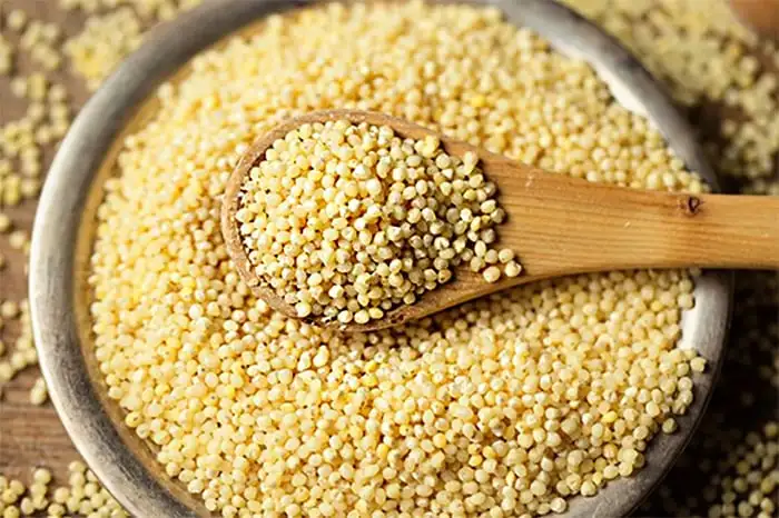 Best Selling Pure Quality Millet Reasonable Price Millet