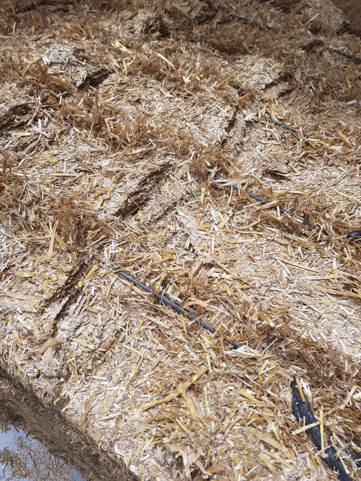 Wheat straw in big bales for animal