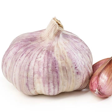 best grade Fresh Natural White Purple ajo chino SPRING PURPURE GARLIC ORIGIN SPAIN