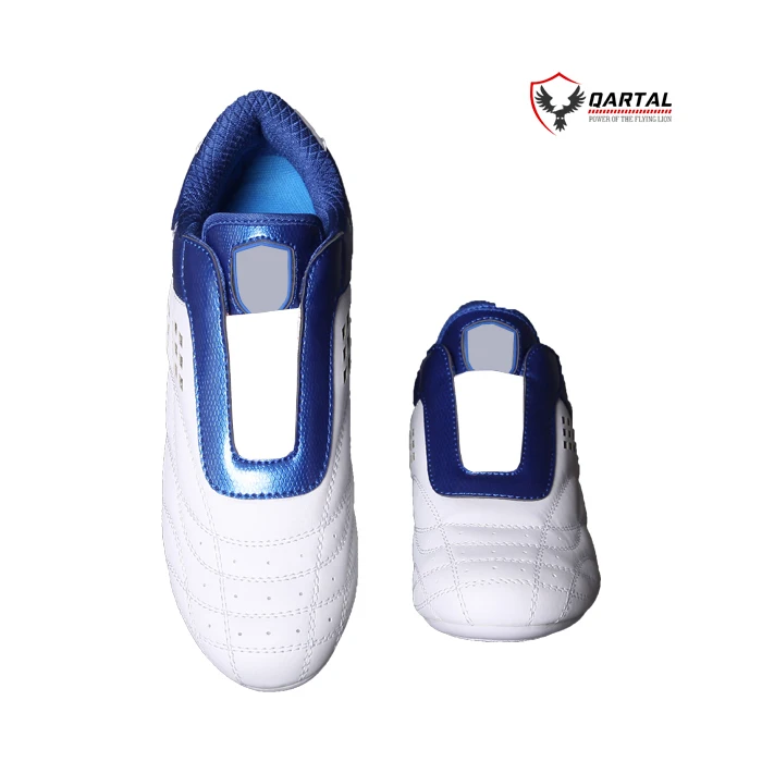 Good Quality Wholesale Martial Art Men Taekwondo Shoes 2021 For Best Sale