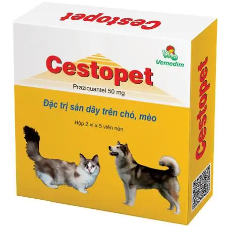 cestopetVN