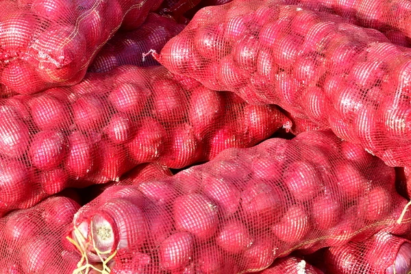 fresh market prices red onion for importers and buyers wholesale