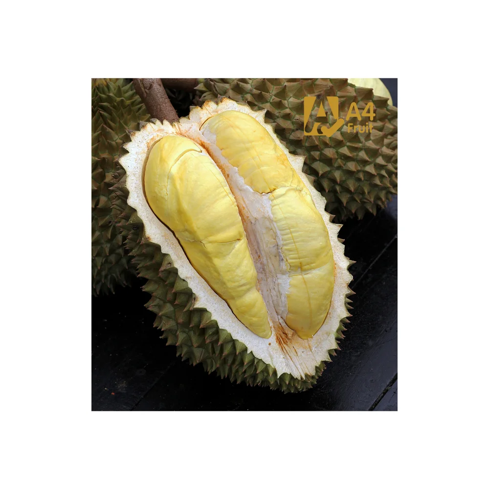 Fresh cut durian for china original from thailand the best durian in this world